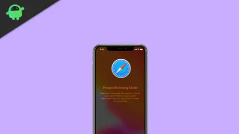 Enable and Use Private Browsing (Incognito) in Safari on iPhone/iPad