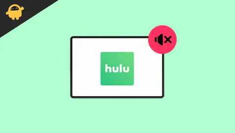 Fix: Hulu App Audio Not Working on iPad