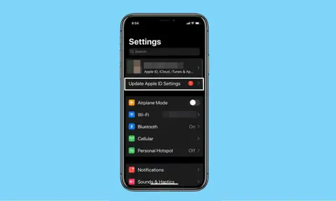 Fix “Update Apple ID Settings” Issue on iPhone and iPad