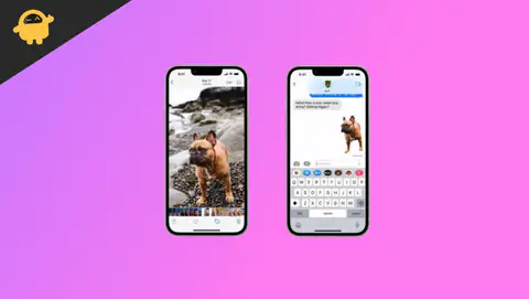 How to Remove Background from a Photo on iPhone Running iOS 16 or Higher