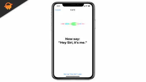 Delete Siri and Dictation History on Apple Watch, Mac, TV, and HomePod (2023)