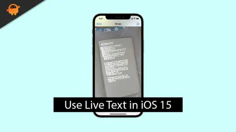 How to Use Live Text in iOS 15 using iPhone?