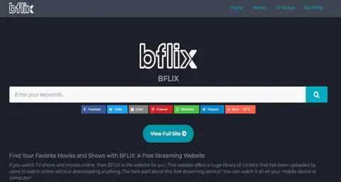 How to Fix Bflix.sx Not Working?