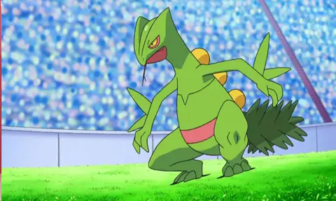 Best Moveset for Sceptile in Pokémon Go