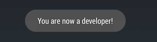 developer option