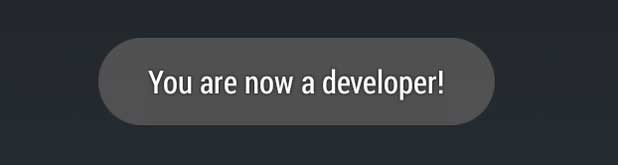 developer option