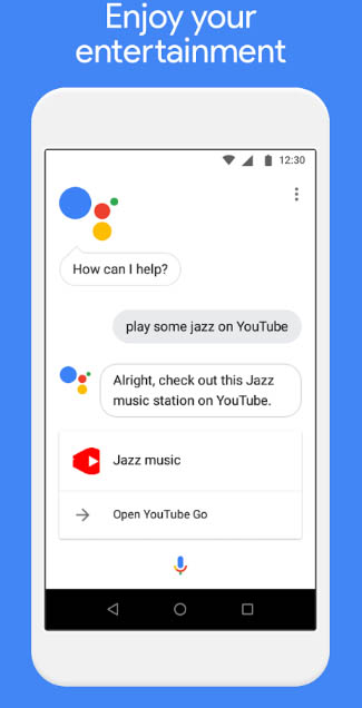 Google Assistant Go