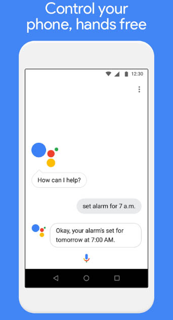 Google Assistant Go