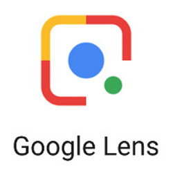 Google Lens Real-Time Search Feature