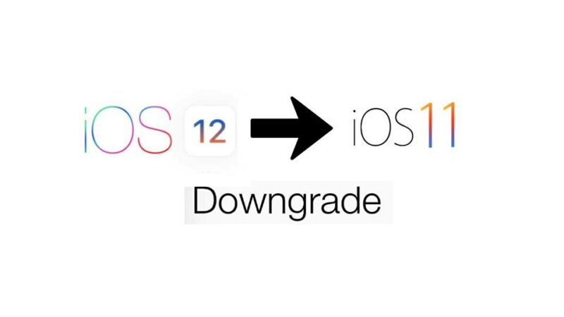 Downgrade iOS 12 Public Beta