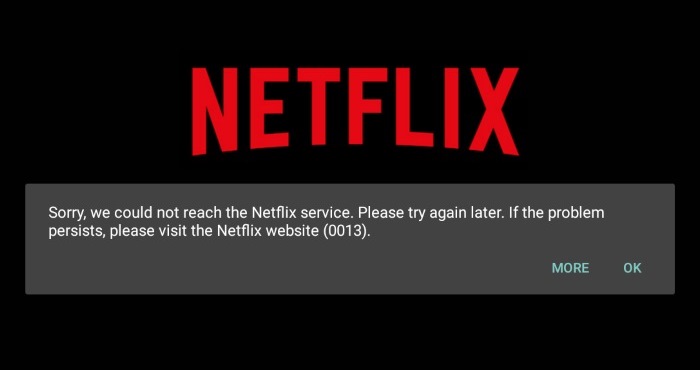 Netflix Error 10013