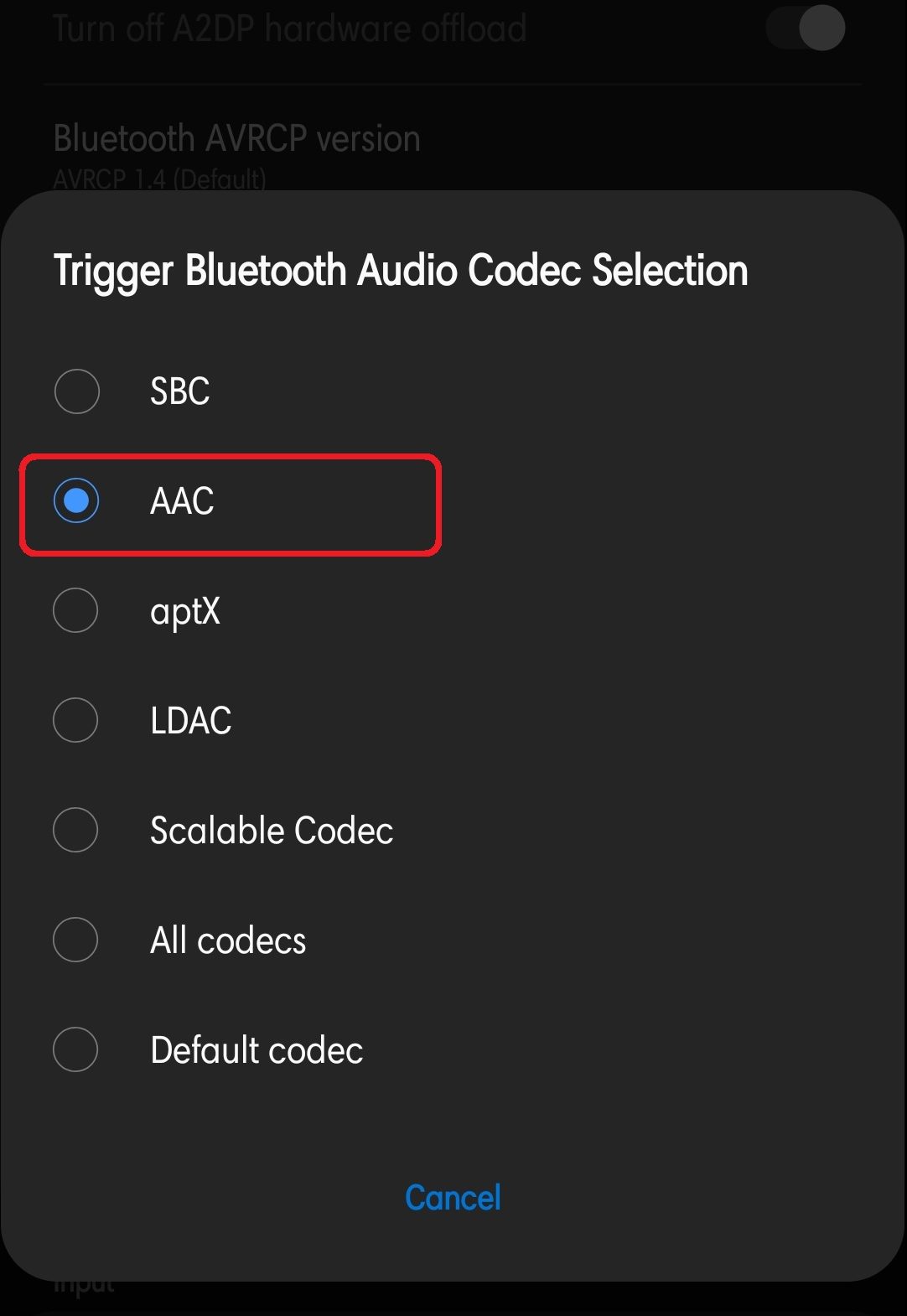 Codec Option