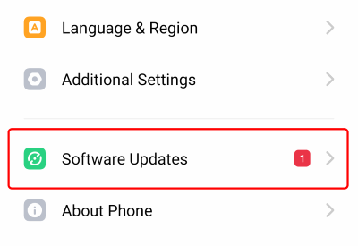 Check Software update