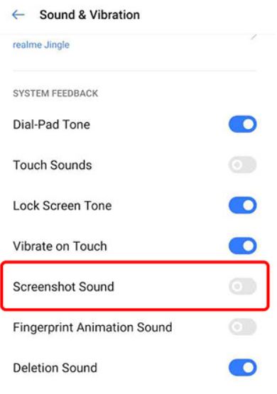 screenshot sound