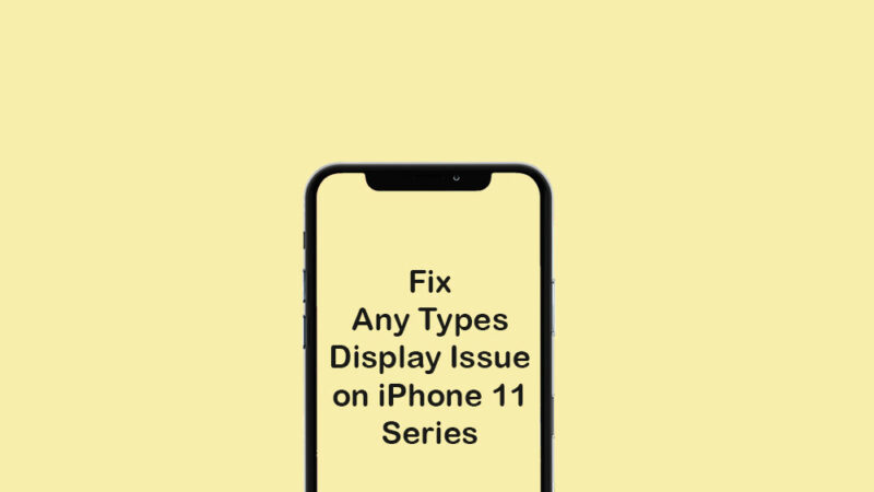 All Types of Display Problem on iPhone 11 and 11 Pro