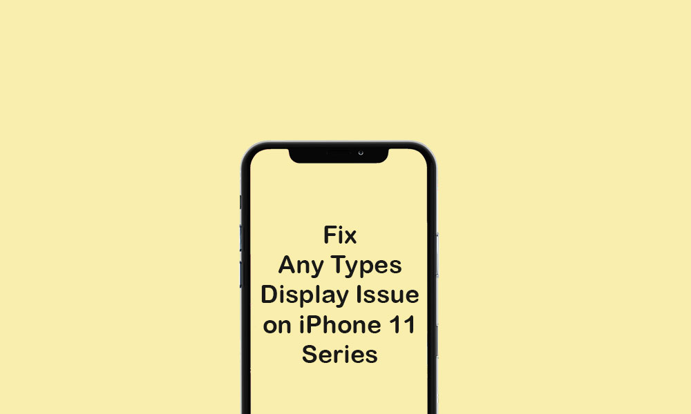 All Types of Display Problem on iPhone 11 and 11 Pro