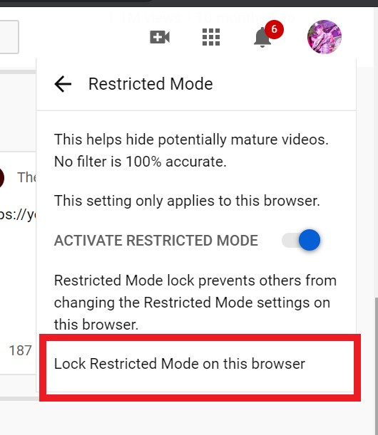 YouTube Restricted Mode locked to browser