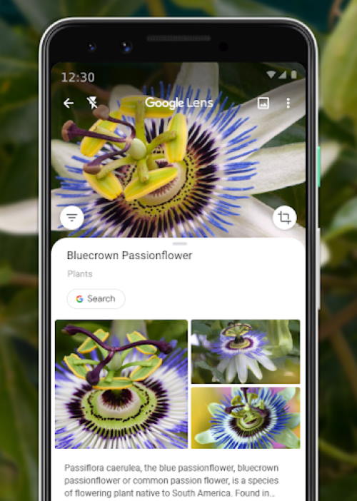 Google's Reverse Image Search on Your Android Device using google lens