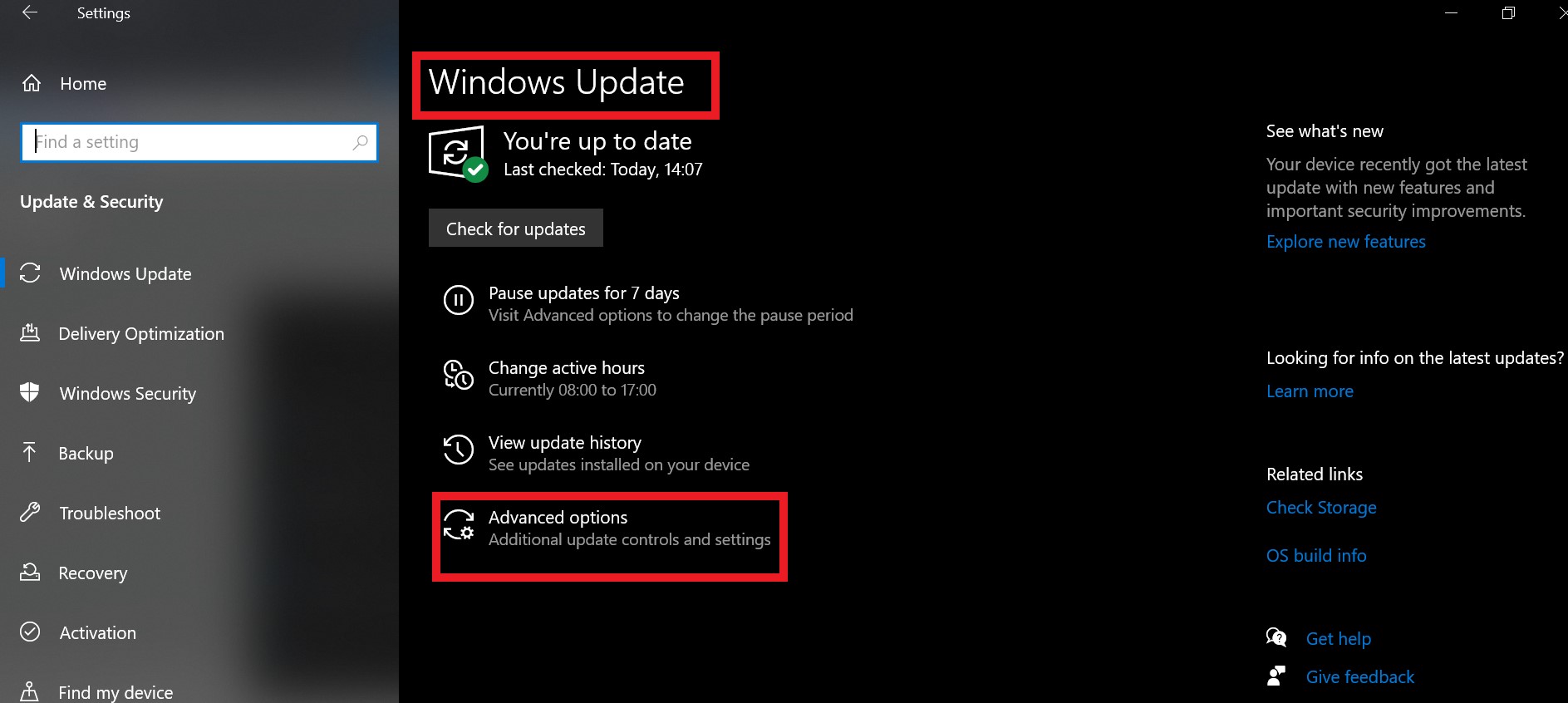 Windows 10 Update Check
