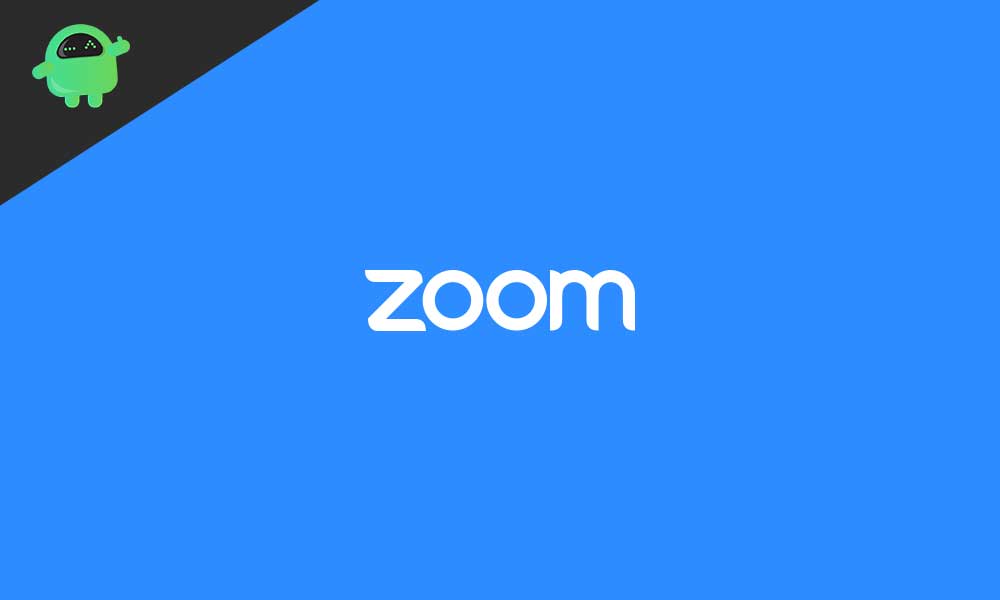 Zoom Screen Share