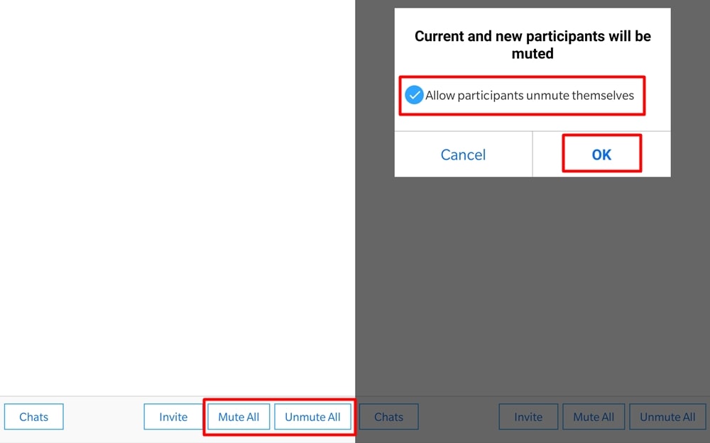 Mute and unmute participants in Zoom