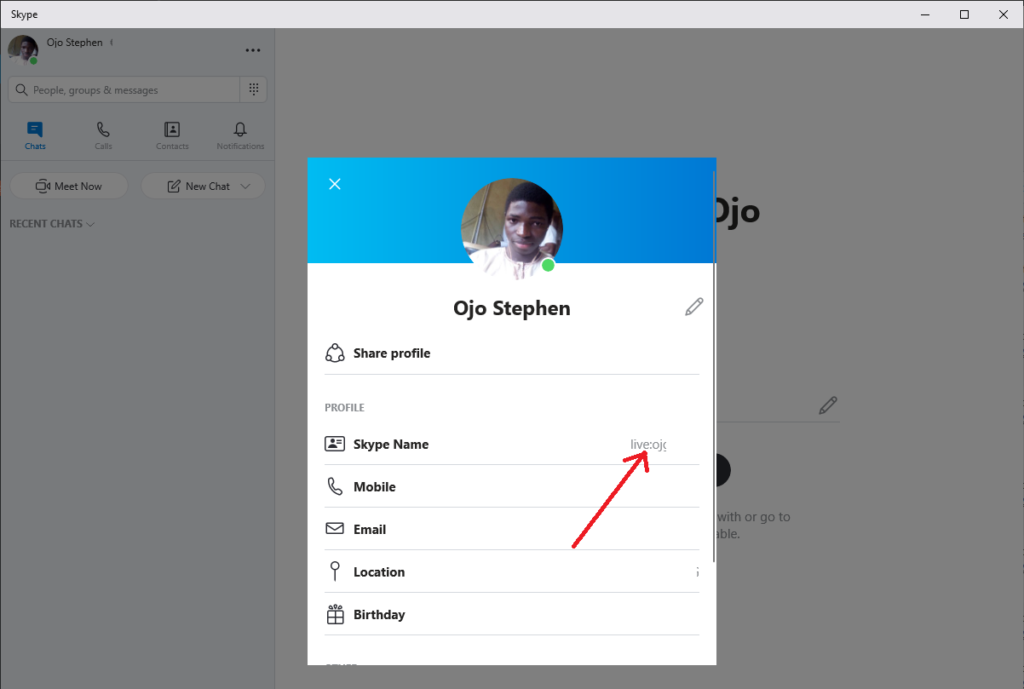 skype desktop app profile