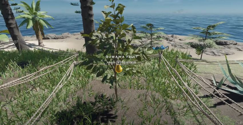 How to Get Water in Stranded Deep?