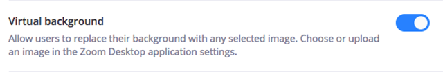 virtual background toggle