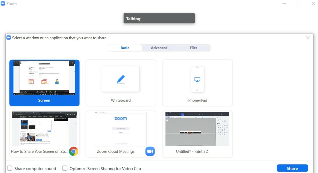 Zoom Screen Share options