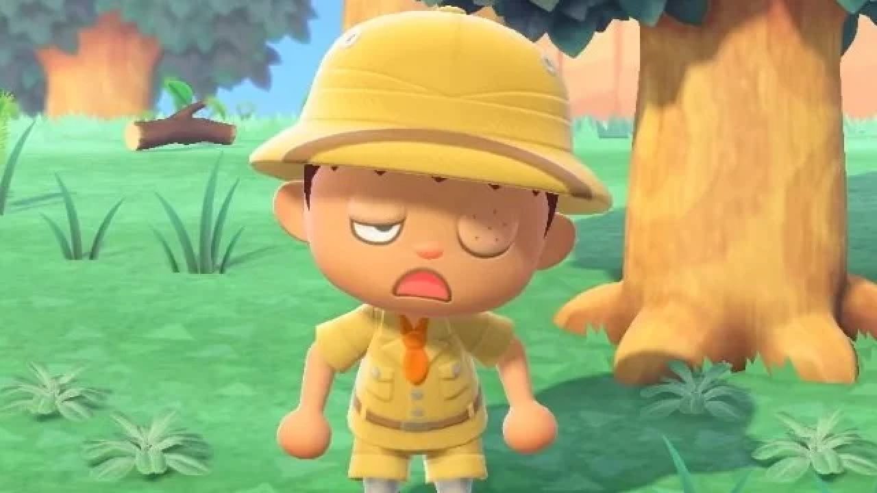 Animal Crossing: Communication Error