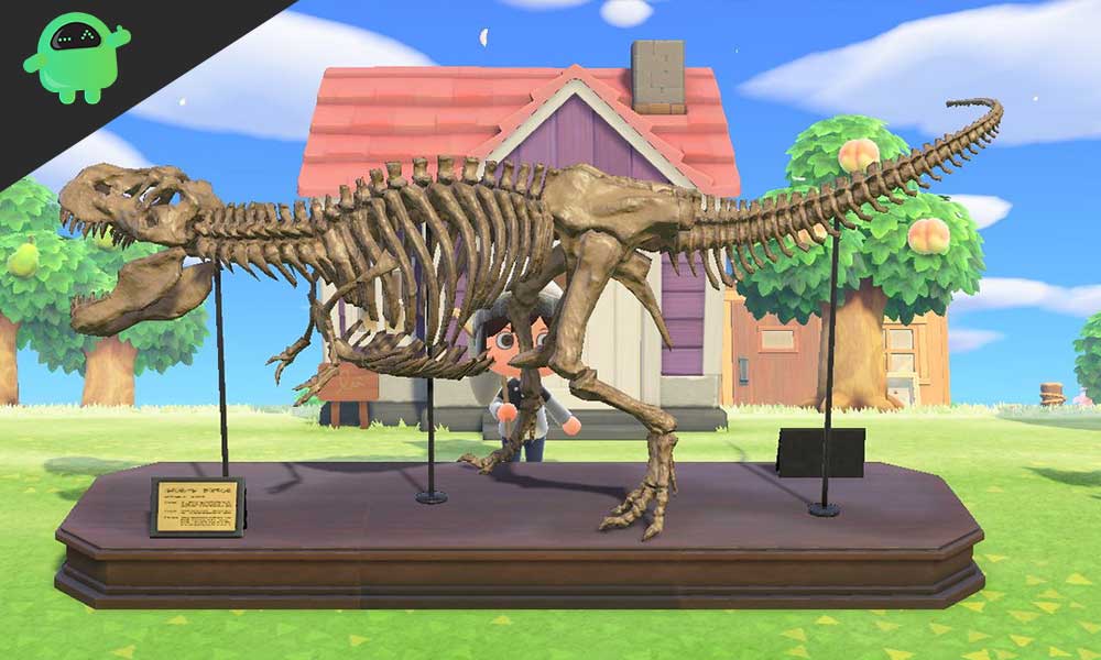 Complete List of All Fossils with Prices and How To Get Them: Animal Crossing