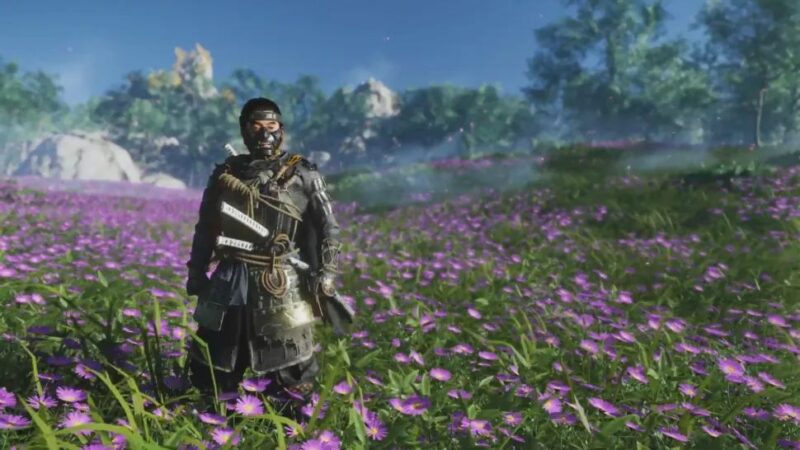 Ghost-of Tsushima-flowers