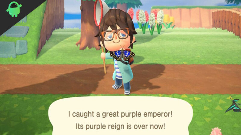 Animal Crossing: New Horizons – A guide to Capturing the Great Purple Emperor Butterfly