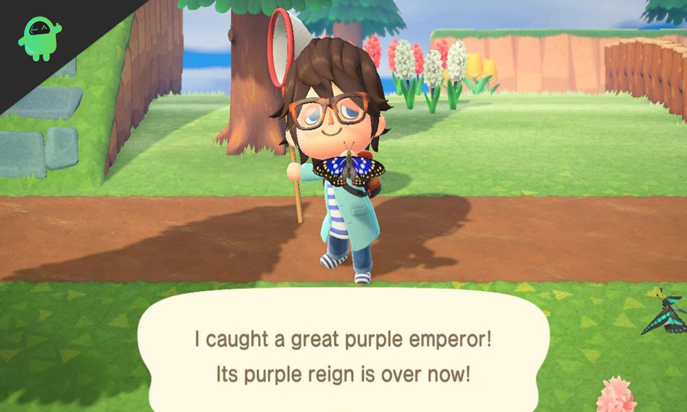 Animal Crossing: New Horizons – A guide to Capture the Great Purple Emperor Butterfly
