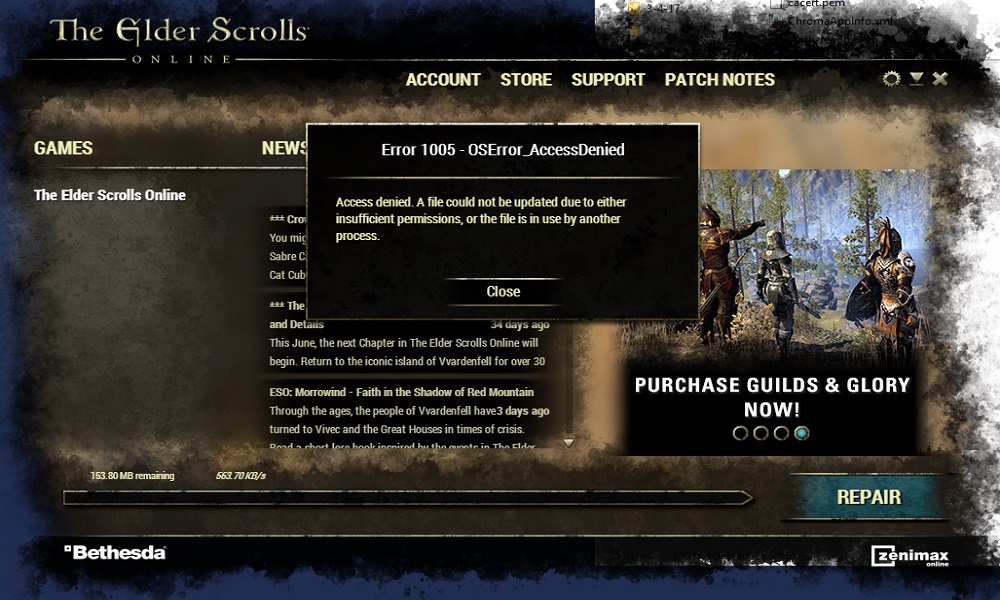 How to fix Elder Scrolls Online Error 1005?