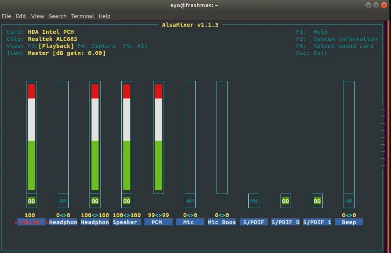 How to Fix the No Sound Issue in Ubuntu