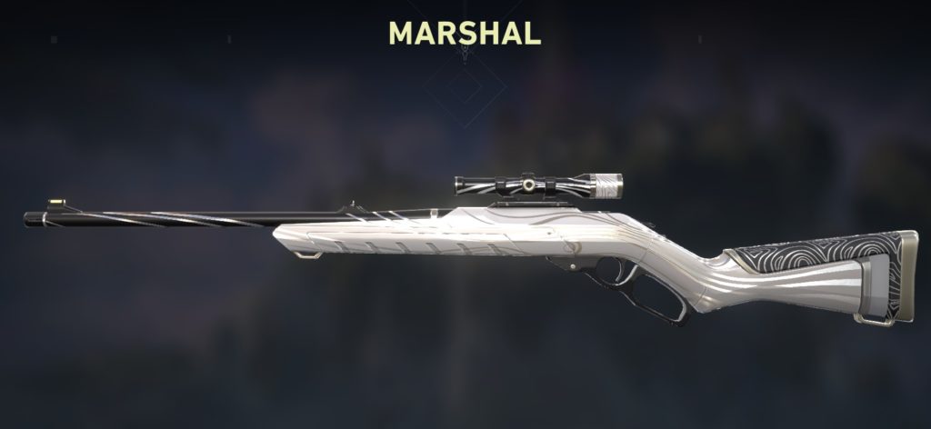 Best Weapon Skins in Valorant