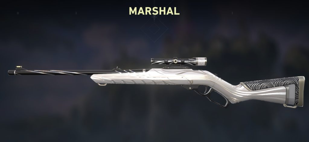 Best Weapon Skins in Valorant