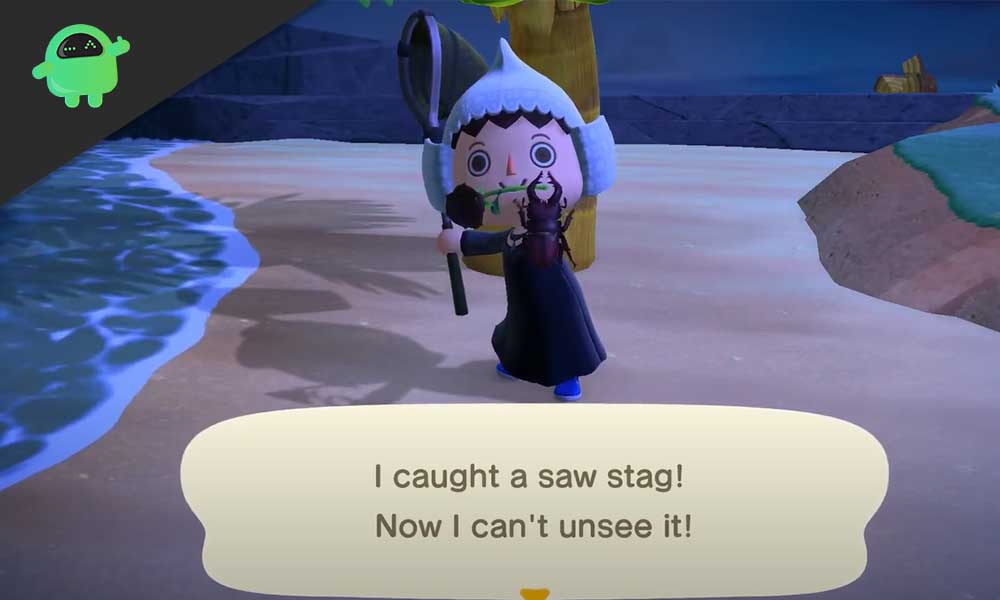 Cyclommatus Stag in Animal Crossing