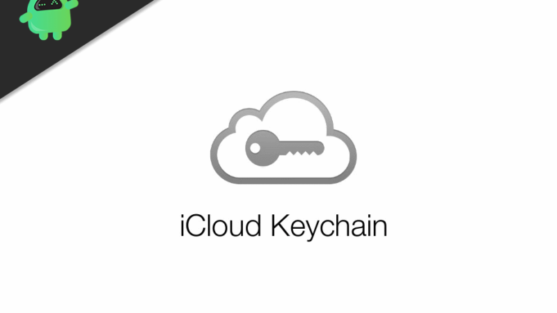 How To Access iCloud Keychain Password iPhone and iPad (iOS)
