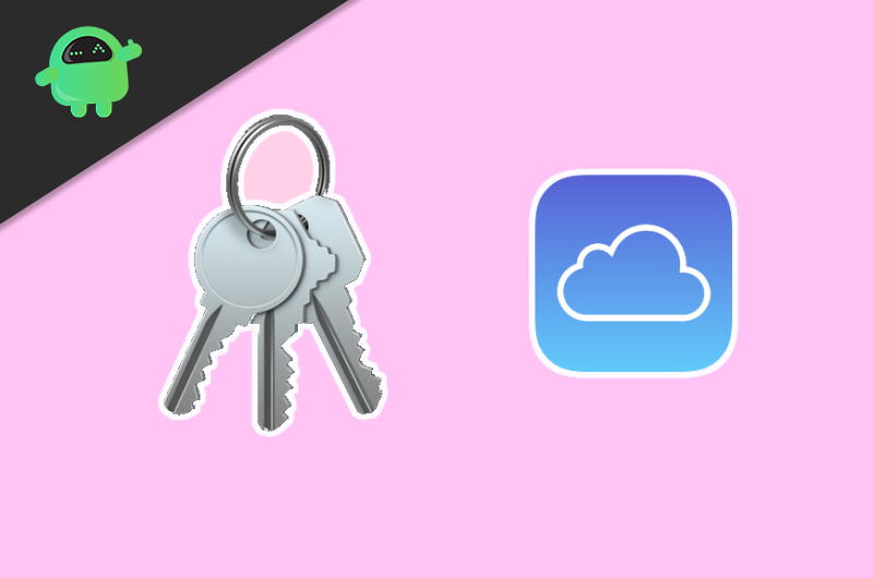 how to get passwords from keychain on ipad