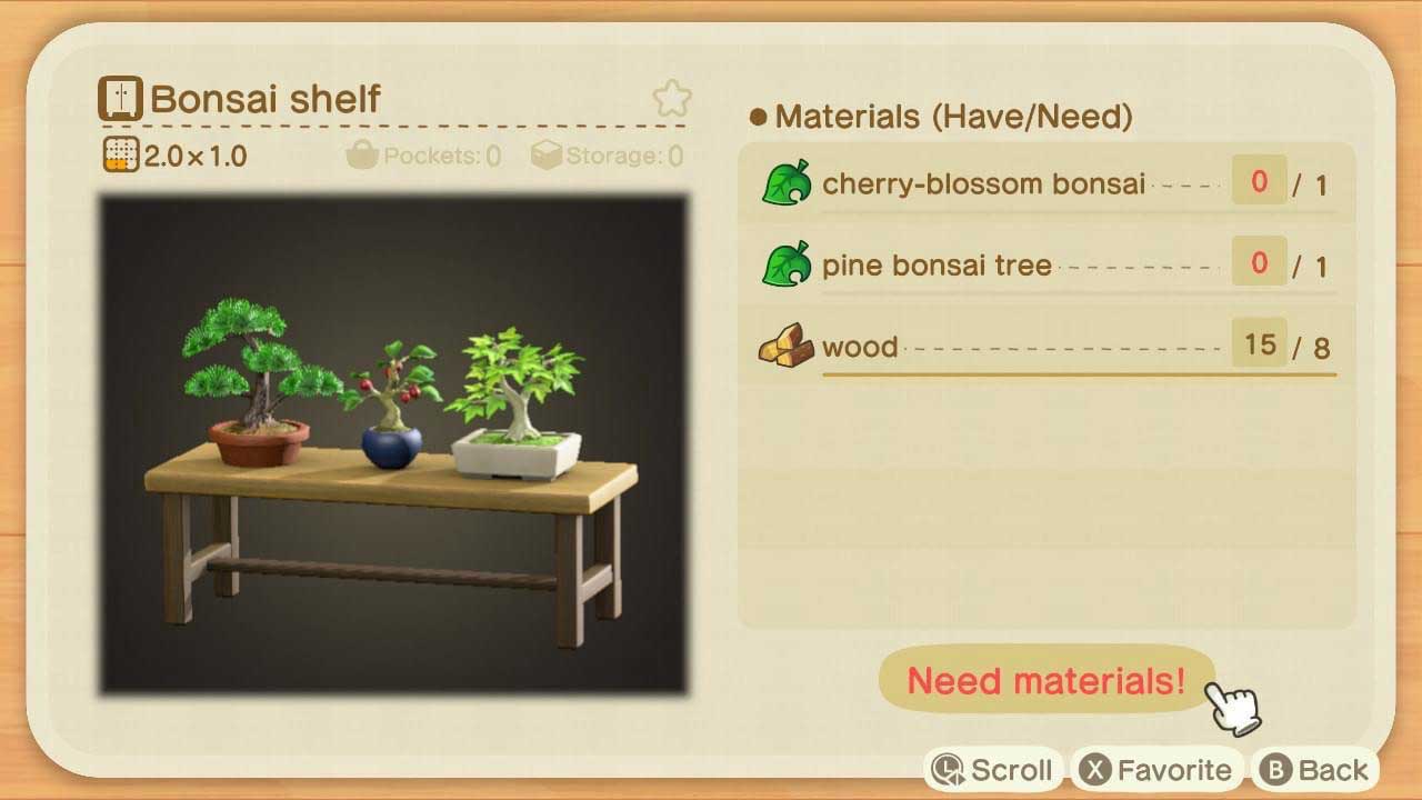 Pine Bonsai Tree