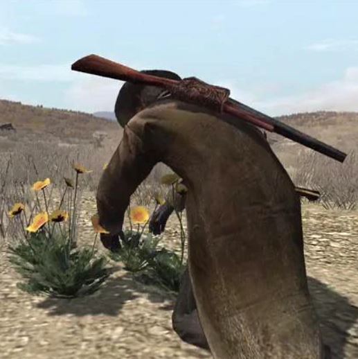 Prairie Poppy Red Dead Redemption 2