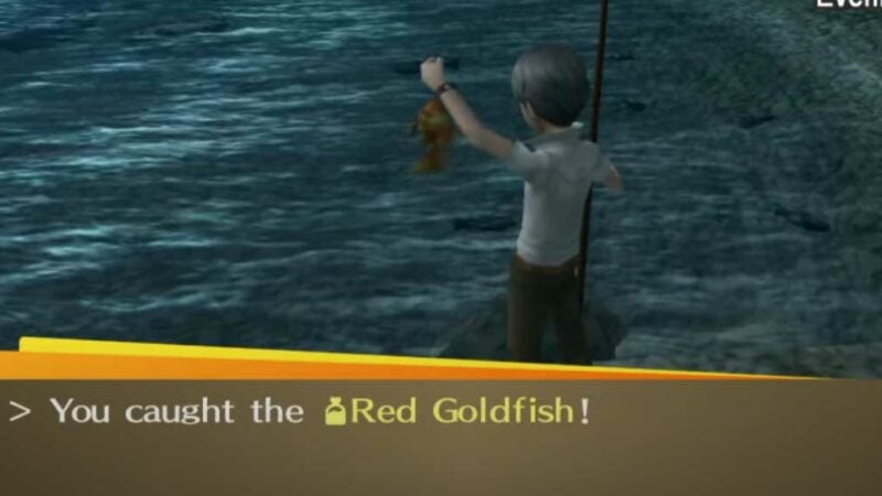Red Goldfish in Persona 4 Golden