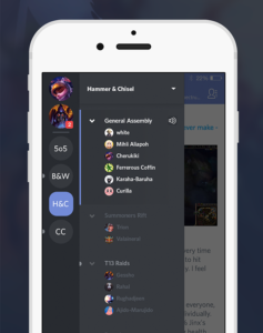 Remove Someone from Discord Channel on a Smartphone