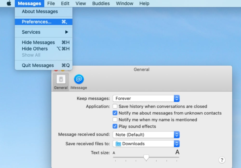 Disable Messages on macOS