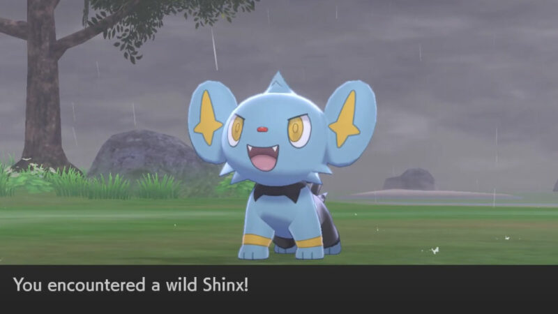 Shinx in Pokemon Sword
