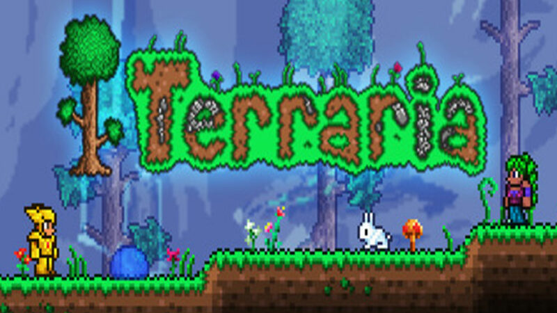 Terraria isn't starting up: Fix Crashing after black screen