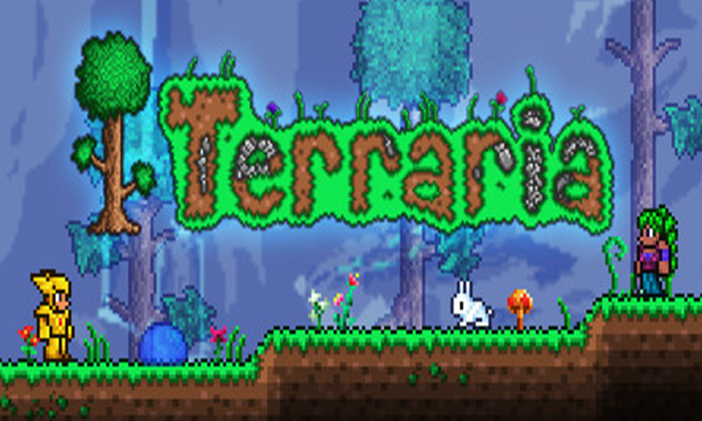 Terraria isn't starting up: Fix Crashing after black screen