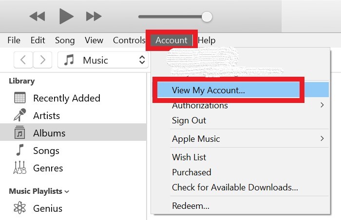 View iTunes Account Details